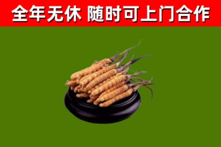 汉滨区烟酒回收冬虫夏草.jpg
